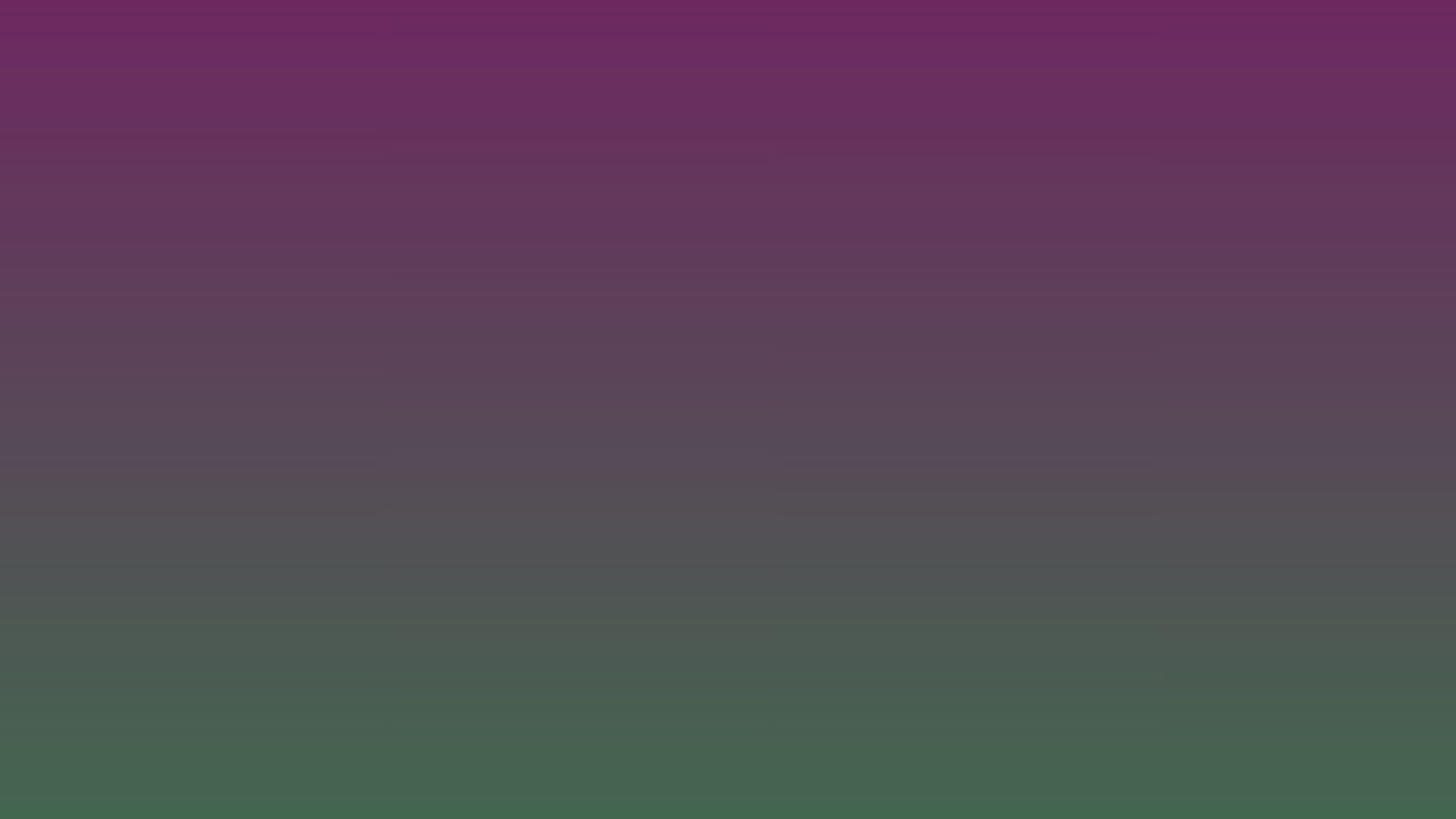 Shawn - CEO - Championship Networks